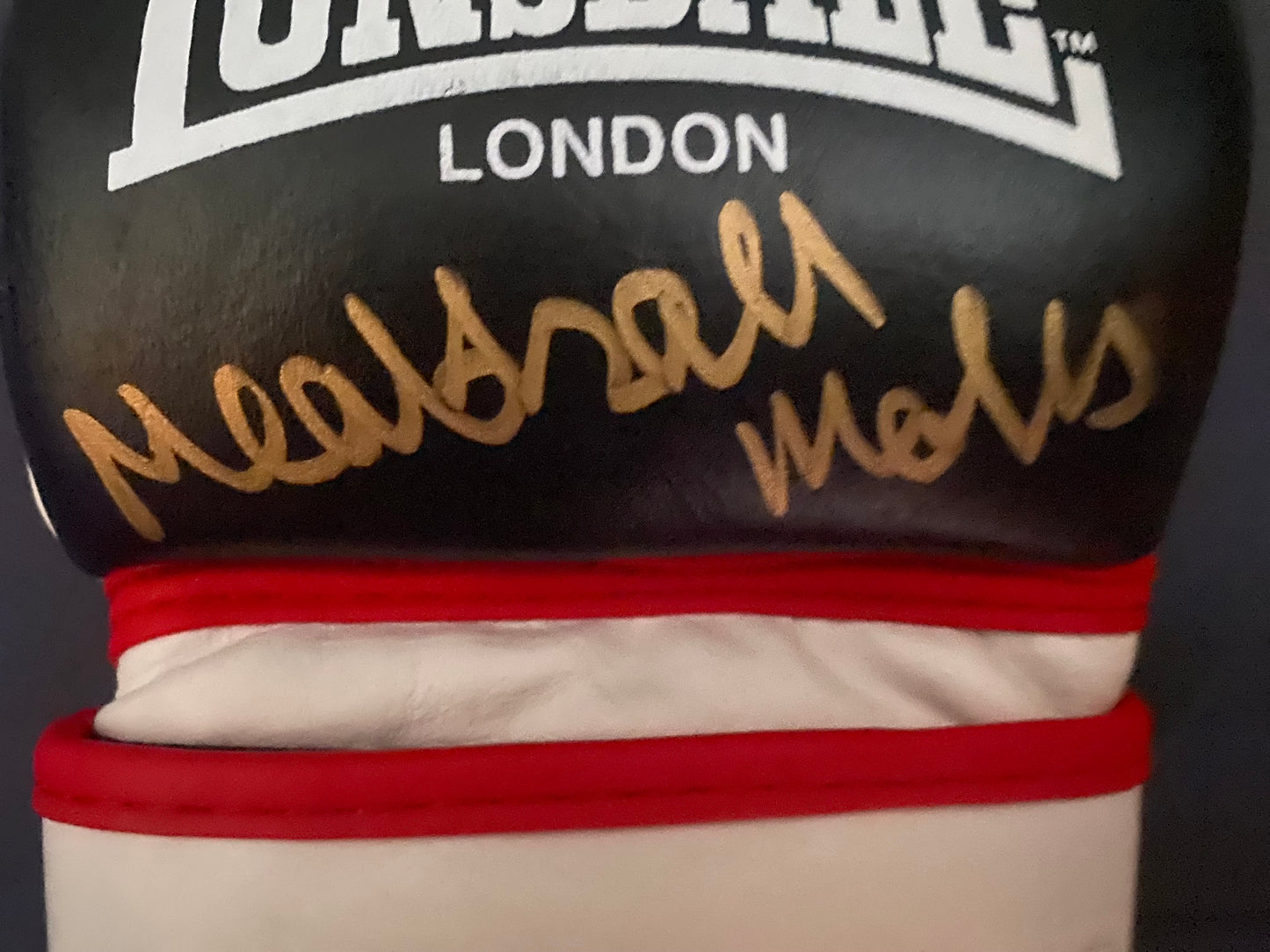 Meatball Molly McCann Signed MMA glove