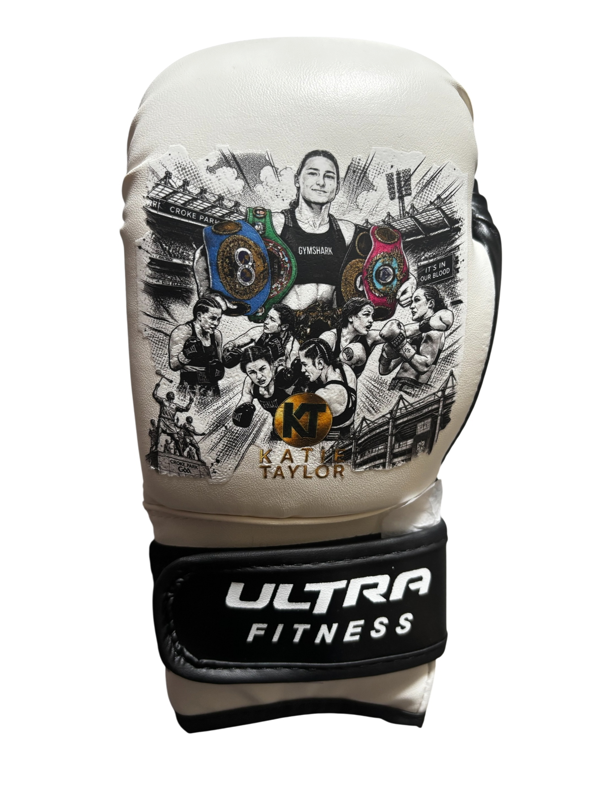 Katie Taylor ā Croke Park Inspired 6oz Custom Display Boxing Gloves