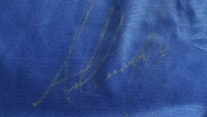 Anthony Joshua signed boxing shorts