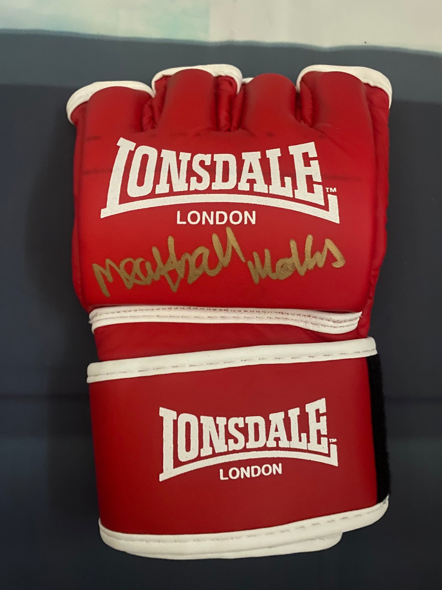 Meatball Molly McCann Signed MMA glove