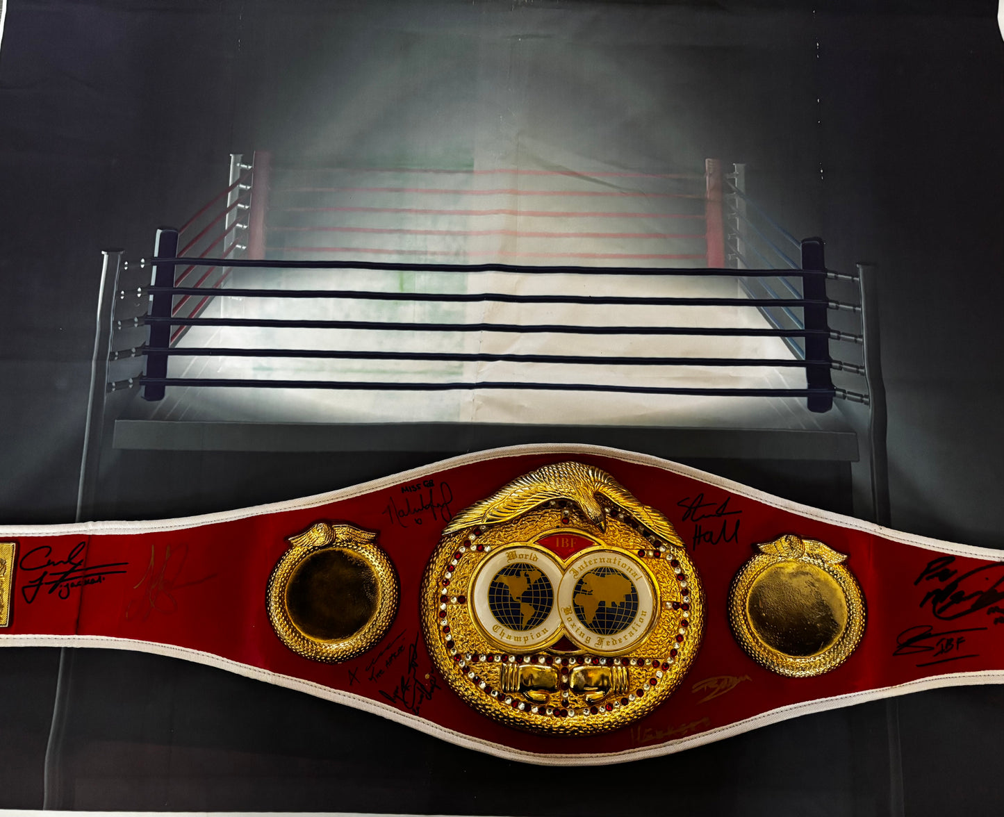 The Ultimate Champion's
Collection: Multi-Signed Full-Size
IBF Replica Belt
