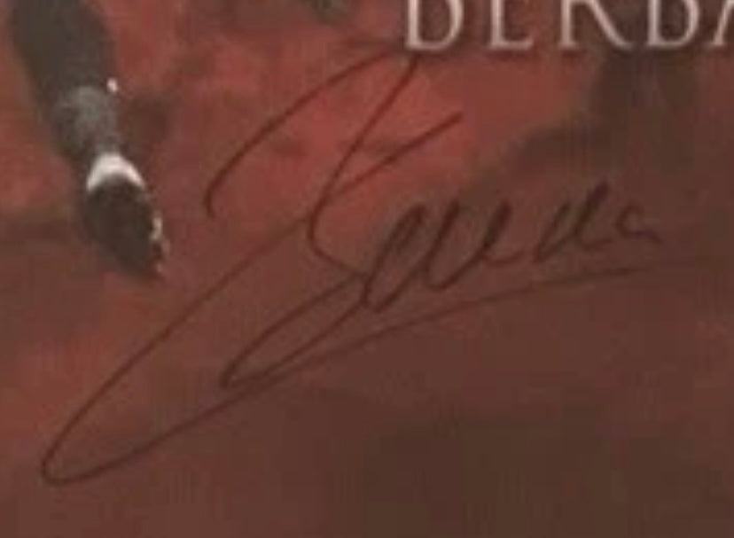 Dimitar Berbatov Manchester United Signed & Framed 20x16 Inch Poster