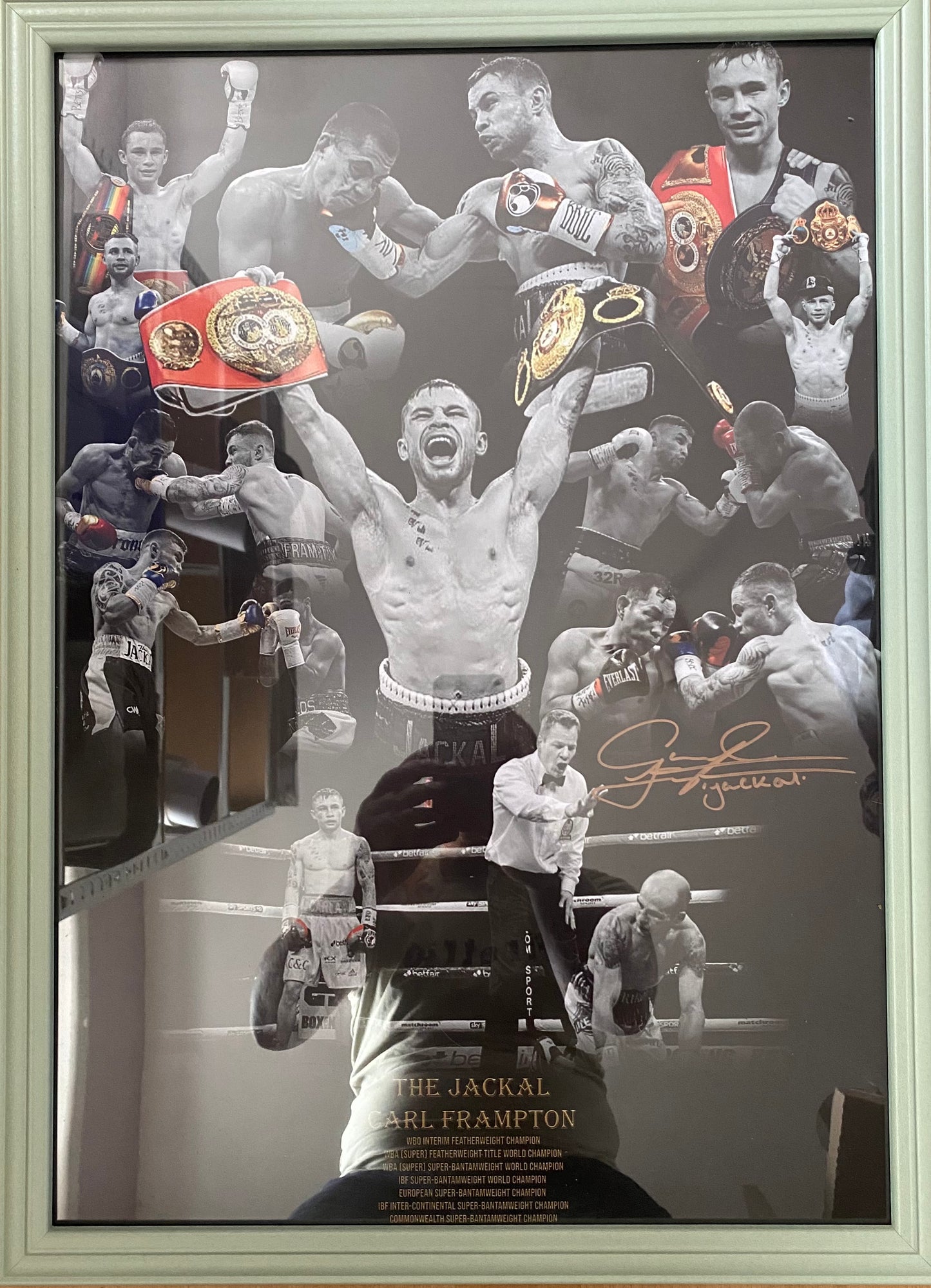 Carl (The Jackel) Frampton signed & framed A2 poster