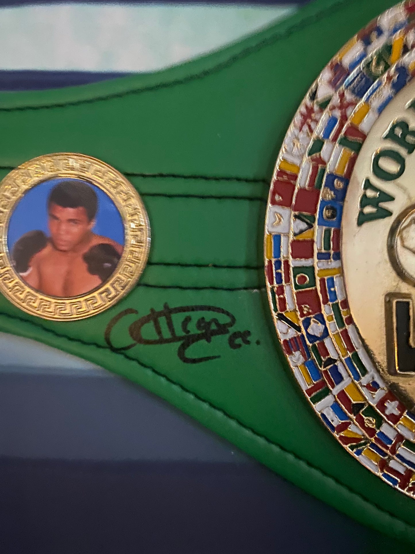 Chantelle Cameron & Natasha Jonas Signed replica wbc mini belt