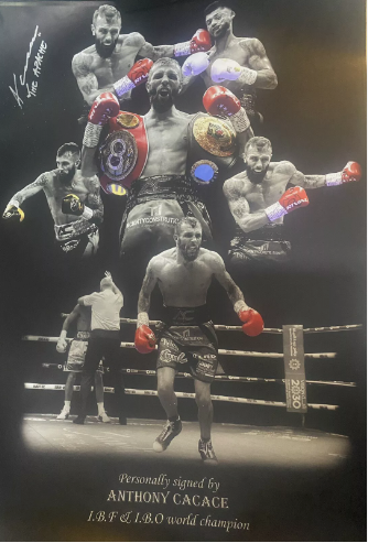 IBF & IBO World Champion Anthony Cacace Signed 23x16 Inch Poster
