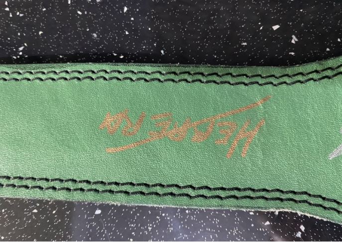 Custom boxing belt signed by 7 world champions and 3 top prospects