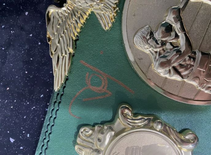 Custom boxing belt signed by 7 world champions and 3 top prospects