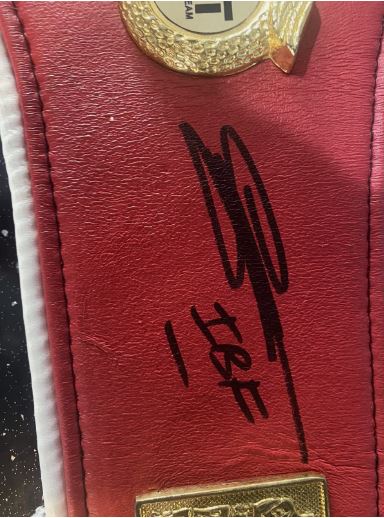 IBF mini belt signed by 5 IBF world champions