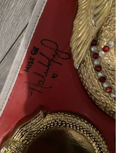 Full size IBF belt signed By 7 former IBF world champions