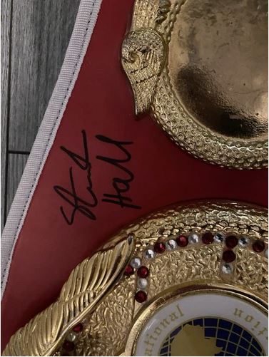 Full size IBF belt signed By 7 former IBF world champions