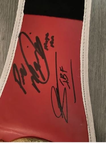 Full size IBF belt signed By 7 former IBF world champions