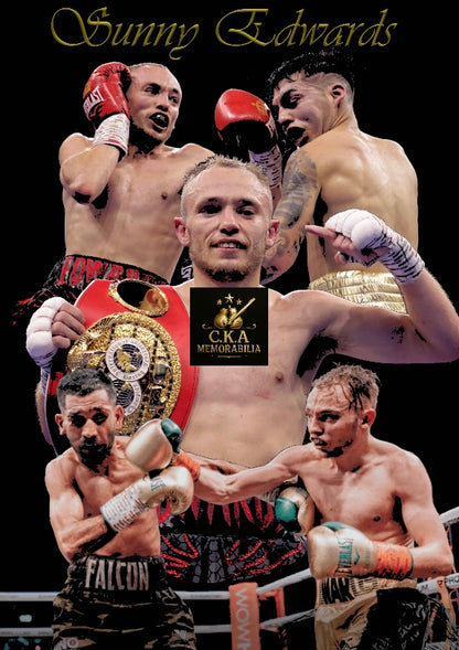 Custom boxing poster designs