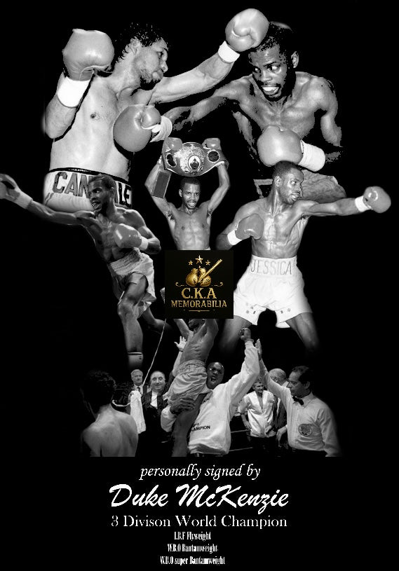 Custom boxing poster designs