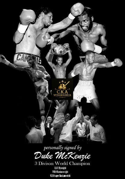 Custom boxing poster designs