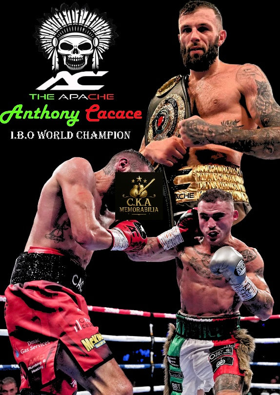 Custom boxing poster designs