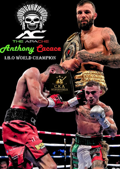 Custom boxing poster designs