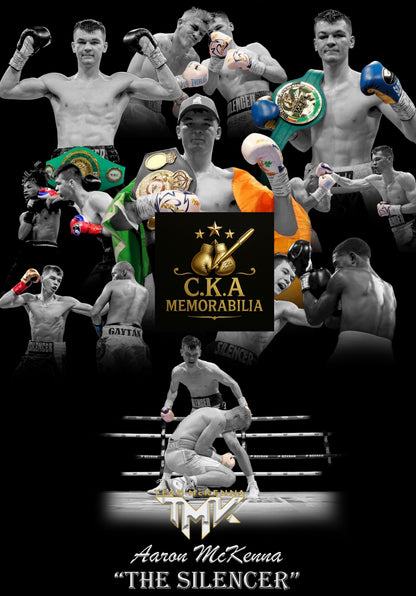 Custom boxing poster designs