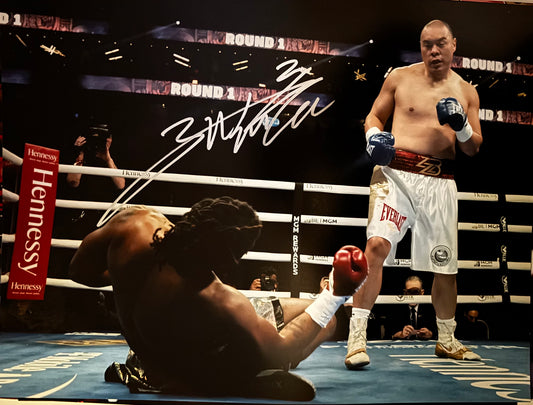 Zhilei Zhang signed 16x12 inch photo