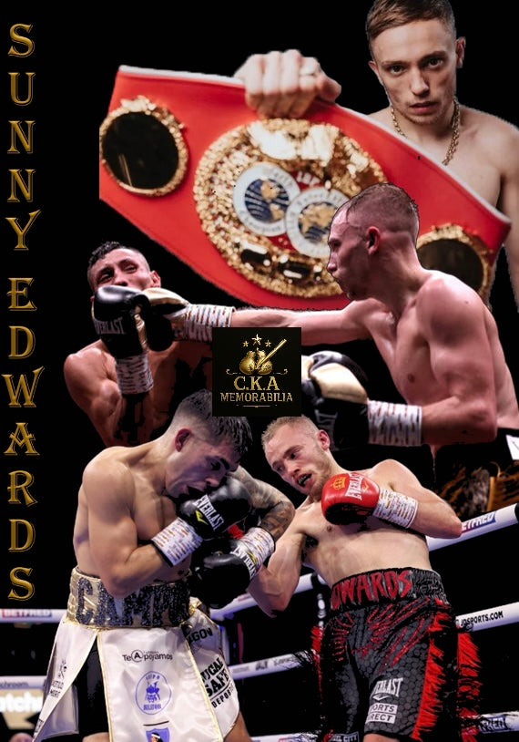 Custom boxing poster designs