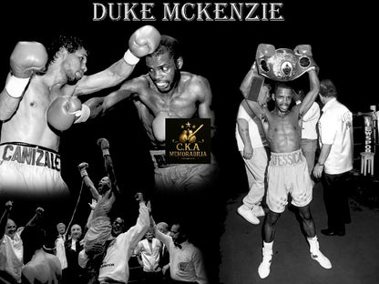 Custom boxing poster designs