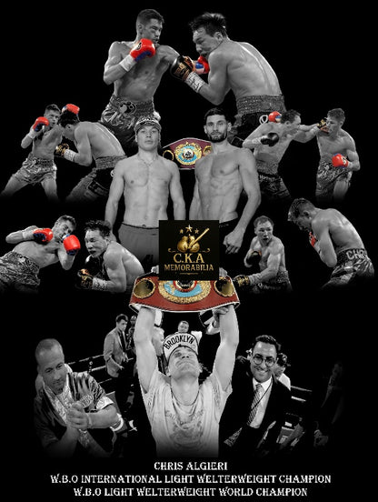 Custom boxing poster designs