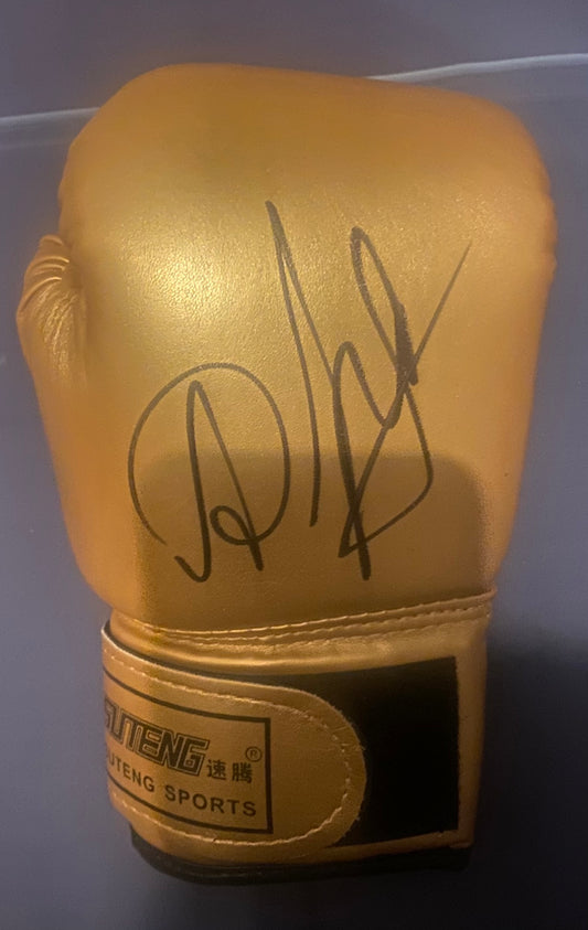 David Avanesyan signed boxing glove