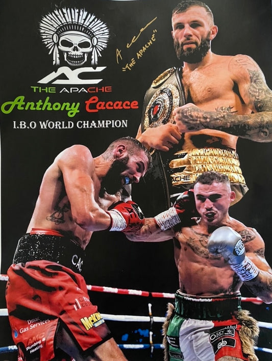 Anthony Cacace Signed 16x12 Photo