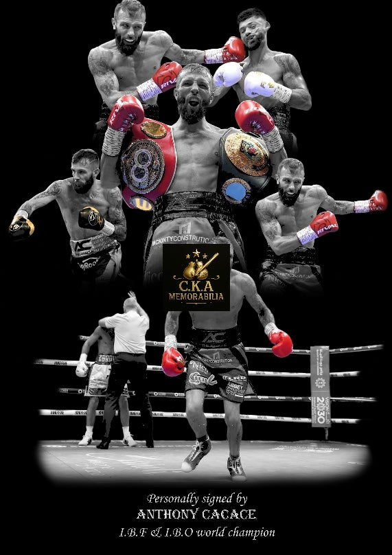 Custom boxing poster designs