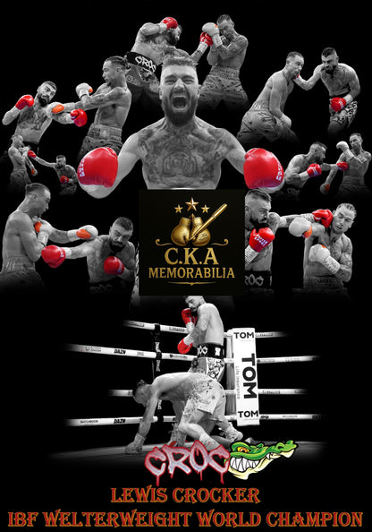 Custom boxing poster designs