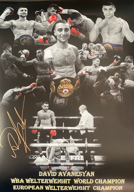 David Avanesyan signed 20x16 inch poster