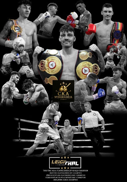 Custom boxing poster designs