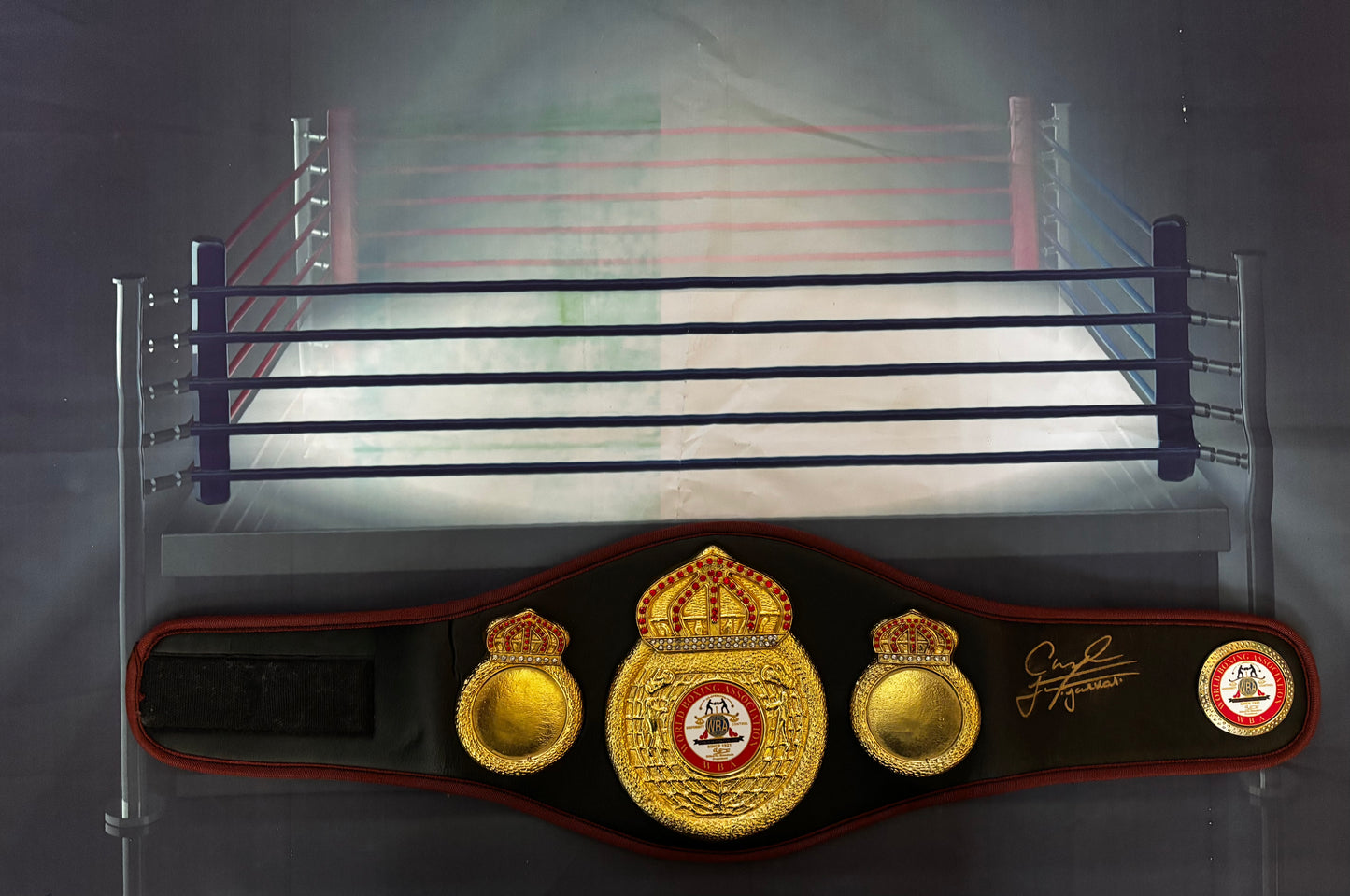 Carl Frampton signed WBA replica Mini world title belt