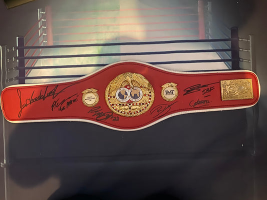IBF mini belt signed by 6 IBF world champions