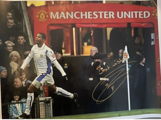 Leeds United 2010 FA Cup Jermaine Beckford Signed 16x12 Photo