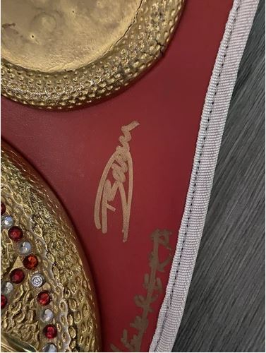 Full size IBF belt signed By 7 former IBF world champions