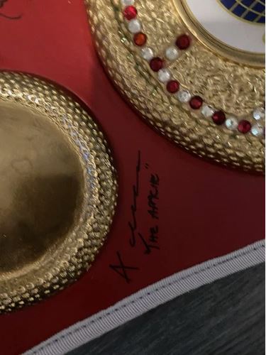 Full size IBF belt signed By 7 former IBF world champions